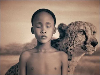 Quel acteur français est à l'affiche du film "Le Guépard", avec Burt Lancaster et Claudia Cardinale, en 1963 ?