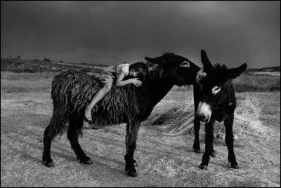 Quel est le nom de l'âne savant à qui il arrive plein d'aventures dans l'oeuvre de la Comtesse de Ségur "Mémoires d'un âne" ?