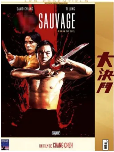 Quel est ce film de 2013 ?