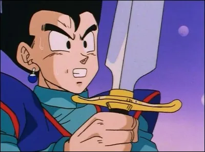 Qui a réussi à soulever la Z Sword ?