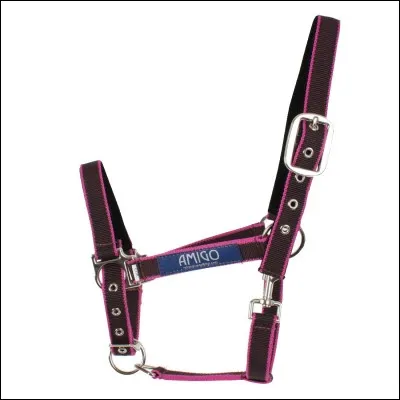 À quoi attachons-nous le licol du cheval ?