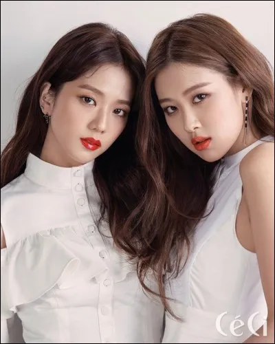 Quelle idole pr&eacute;f&egrave;res-tu ?