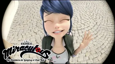 Quel est métier des parents de Marinette ?