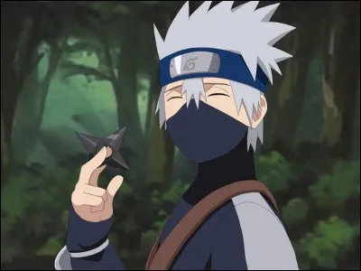 Qui est le père de Kakashi ?