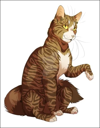 Qui est cette chatte du Clan du Tonnerre ?