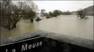 La Meurthe, la Moselle et la Meuse sont trois cours d'eau naissant dans le massif des Vosges.