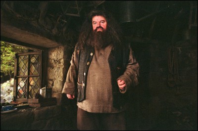 Comment Hagrid écrit-il "Joyeux anniversaire Harry" sur le gâteau qu'il lui offre dans "Harry Potter à l'école des sorciers" ?