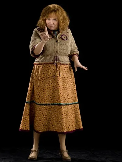 Qui sont les enfants de Molly Weasley ?