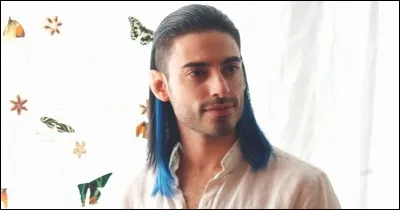 Les elfes sont dirigés par...