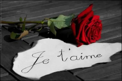 Dans quel dessin animé Disney peut-on entendre Anna et Hans chanter "L'Amour est un cadeau" ?