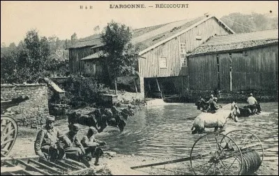 En quelle ann&eacute;e, la for&ecirc;t d'Argonne fut-elle ravag&eacute;e par les obus ?