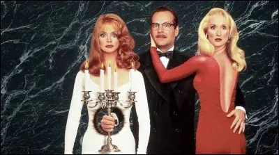 Année : 1992 
Genre : Comédie 
Acteurs : Meryl Streep, Goldie Hawn
Indices : Actrice/Séductrice/Amie/Obèse.
Quel est ce film ?