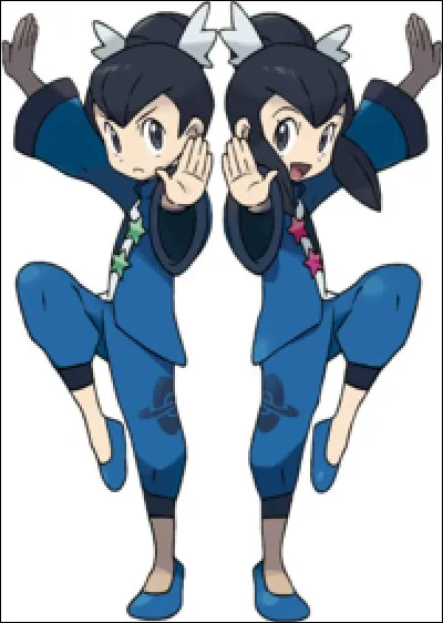 Qui sont ces champions ?