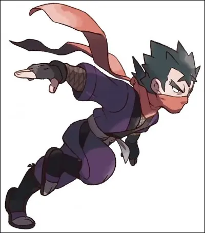 Qui est ce champion ?