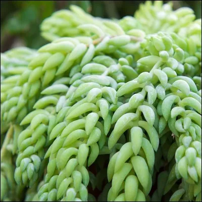 Tu vas en patrouille et tu trouves un remède rare.
Que fais-tu ?