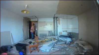 Comment apprendre à son chien à ne pas tout casser :