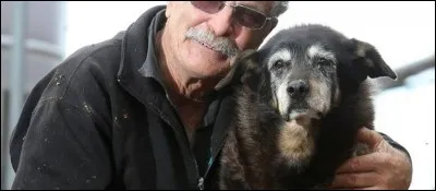 Quel âge a le chien le plus vieux au monde ?