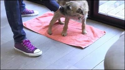 Comment lui apprendre la propreté ?