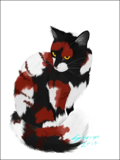 Le Clan du Tonnerre accueille un chat qui prédit la disparition du soleil, comment s'appelle-t-il? (Cycle 3)