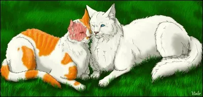 Flocon de Neige représente qui, par rapport à Étoile de Feu ?