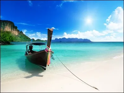 Que font les orphelins à la fin ?