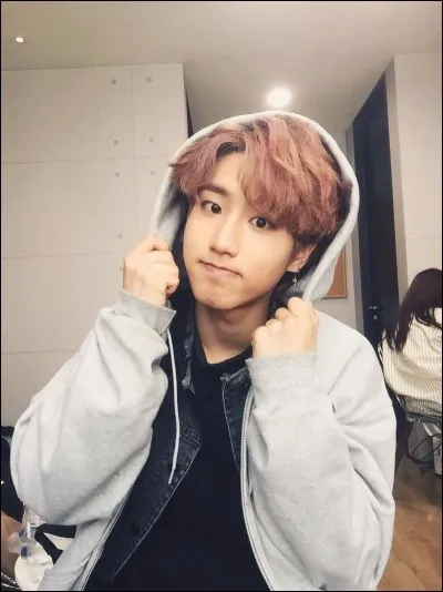 Quel est le nom de scène de ce membre ?