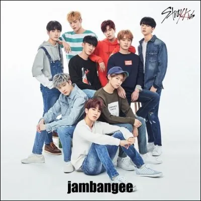 Combien d'albums ont-ils déjà réalisés depuis aujourd'hui ? (20/01/2019)