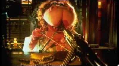 Année : 1991 
Genre : Comédie 
Acteurs : Jay Snowfield, Donna Akersten
Indices : Grenouille/Drogues/Porno/Spectacle. 
Quel est ce film ?