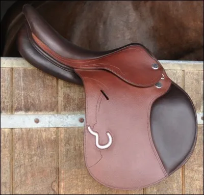 Quelle est partie de la selle qui existe vraiment ?