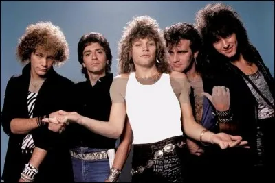 Bon Jovi chante ''In These Arms''. Que signifie le mot ''arm'' en anglais ?