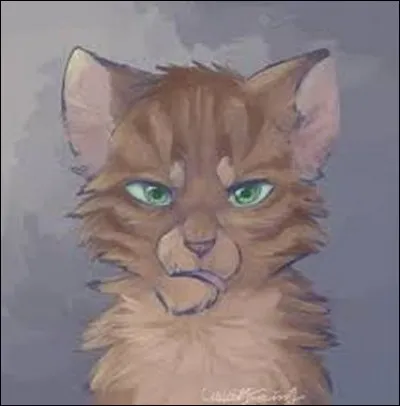 J'ai soigné Petite Tempête lors de son accident.