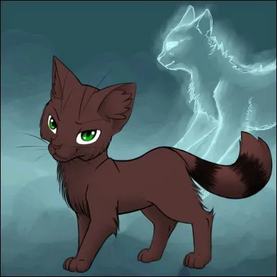 J'ai tué la mère d'Étoile Bleue. Avant mon rôle de guérisseur, j'étais guerrier.