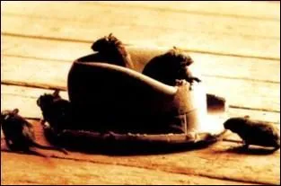 Comment s'appelle le deuxime roman de Camus (qui dnonce le nazisme) ?