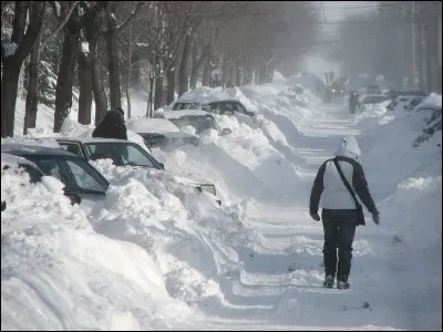 Sur cette photo, on peut voir de la neige :