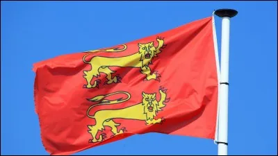 Sur cette photo, on peut voir un drapeau breton :