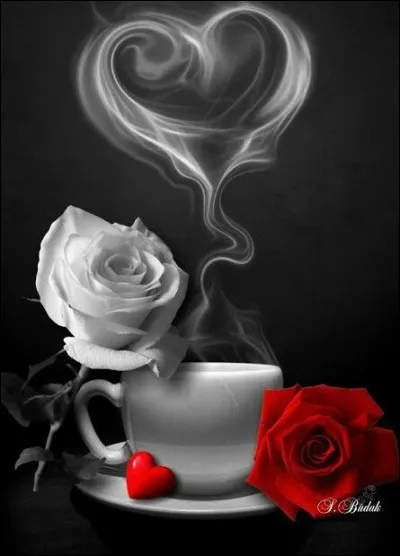 Quel groupe chantait "J'veux pas dormir, je cherche un peu de chaleur à mettre dans mon cur" ?