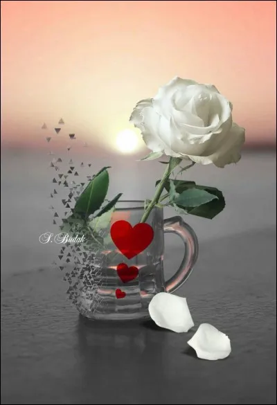 À qui étaient les paroles "Mais quand on a tout juste 15 ans, on n'a pas le cur assez grand..." ?