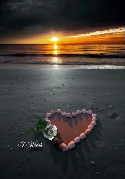 Qui chantait "J'ai laissé une mandarine, une coquille de noix bleu marine, un morceau d'mon cur et une voile, planqués sous l'vent tropical" ?