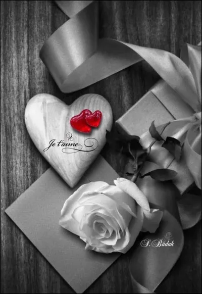 Qui chantait "Je brûle à l'intérieur juste à l'endroit du cur" ?