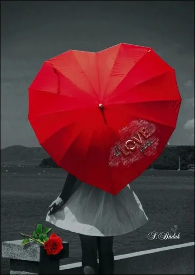 Qui chantait "Le ciel de Nantes rend mon coeur chagrin" ?