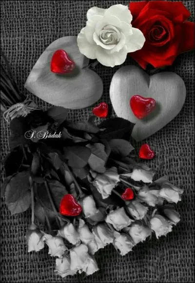 À qui appartient la chanson "Le Cur en deux" ?