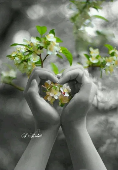 Qui chantait "Mon cur te dit je t'aime" ?