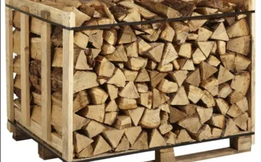 Quiz Nature, écologie