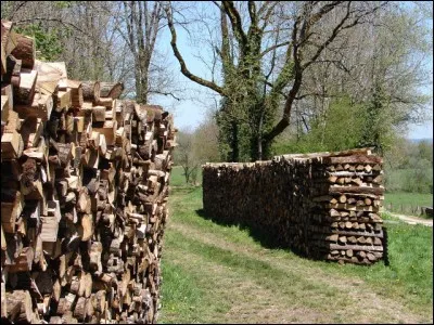 Quelle est la masse d'un stère de bois ?