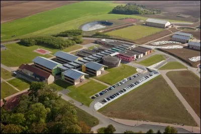 Quelle est la forme de bois qui alimente le lycée ?