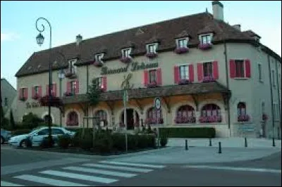 Pouvez-vous me donner le nom des habitants de Saulieu (Côte-d'Or) ?