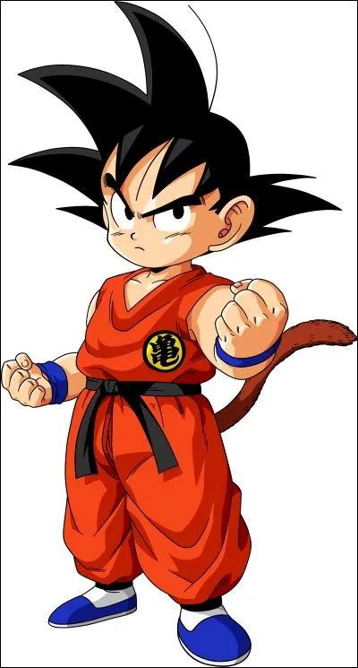 Dans quel manga est-il ?