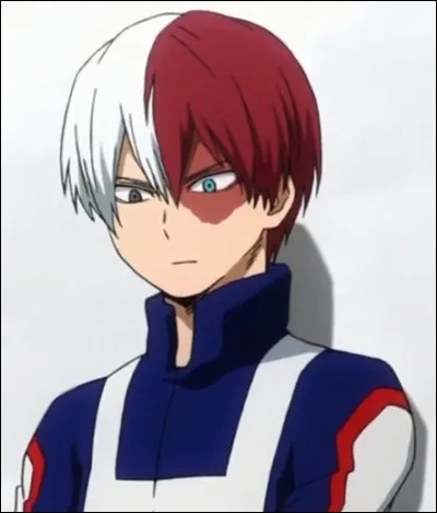 Dans quel manga est-il ?