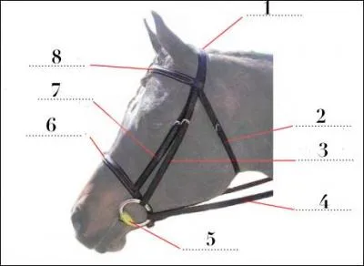 Comment s'appelle la partie N7 ?