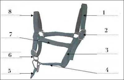 Les parties N1,2,3,4,5,6,7,8, s'appellent :